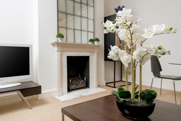 Fotografia 7: Spacious, Calm One Bedroom