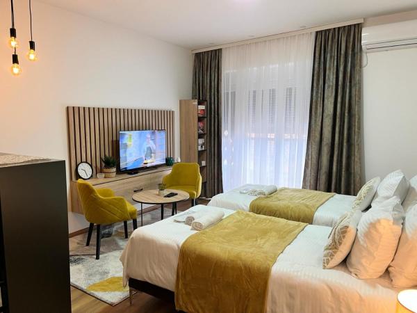 A la foto es mostra l'objecte Apartmani Profesional Pajkovic situat a la ciutat de Valjevo.