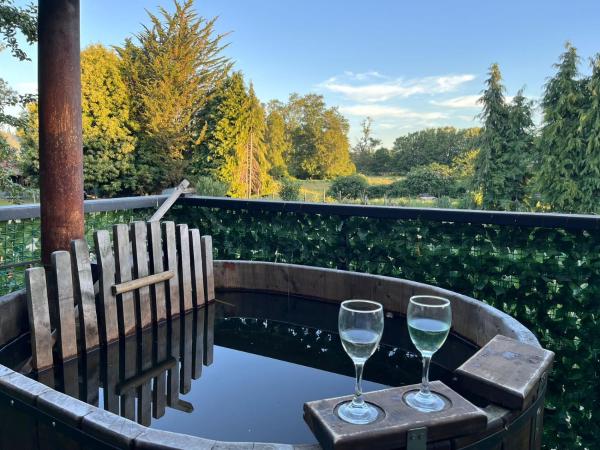 A la foto es mostra l'objecte Krukke Valdivia situat a la ciutat de Valdivia.