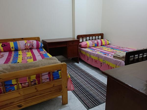 Bilde 3: النخلة 8