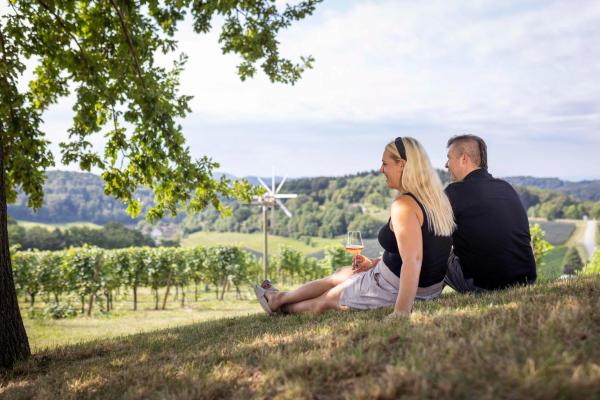 På billedet ses objektet Weingut Dietl beliggende i byen Edelsbach bei Feldbach.