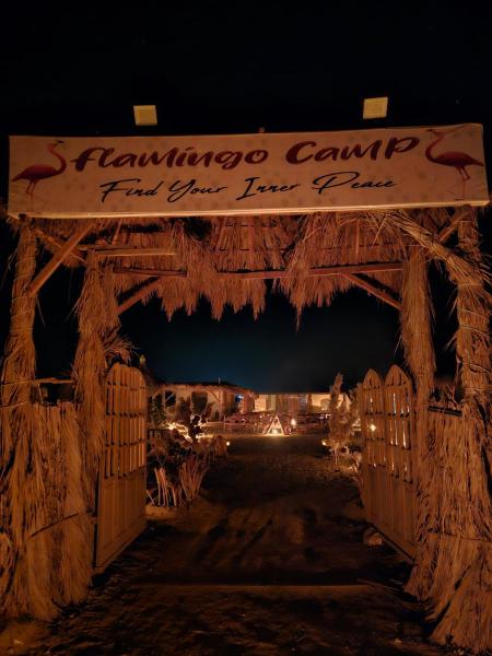 flamingo camp