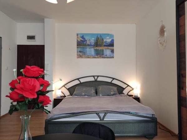 Na fotografii je vidět objekt Mini Apartament Studio nacházející se ve městě Jarnołtów.