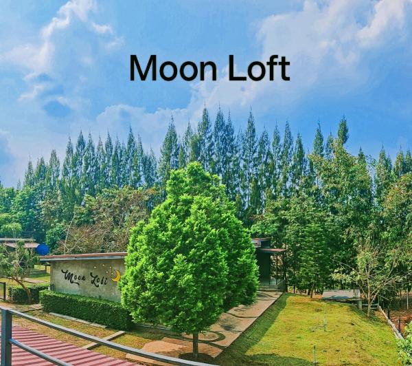 A la foto es mostra l'objecte Moon Loft (มูน ลอฟท์) - บ้านเพื่อน เขาใหญ่ ที่พัก อาหารและเครื่องดื่ม situat a la ciutat de Pong Talong.