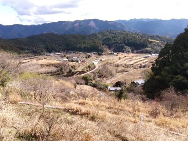 Fotografia 8: たけ丸