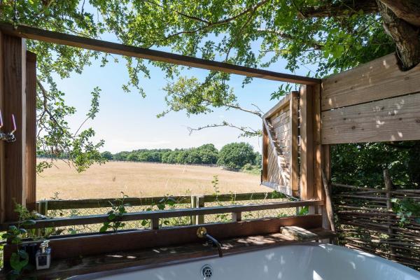 Na zdjęciu widoczny jest obiekt Cabin Westerlands położony w mieście Selham.