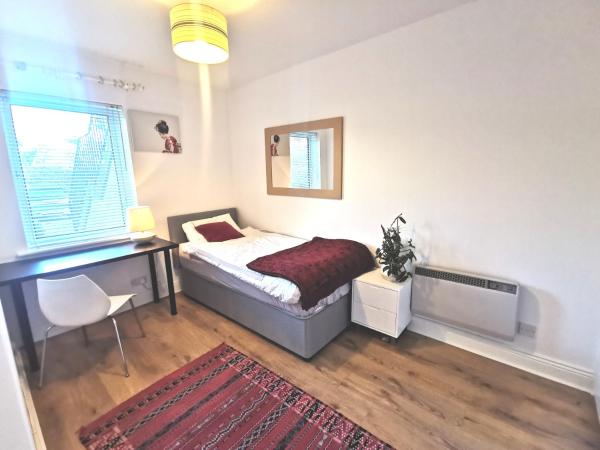 Single room in charming apartment with the terrace and the cat in Sandymount, Dublino