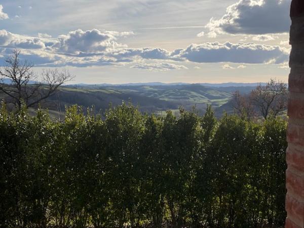 Zia Elisa - Rapolano Terme