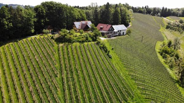På bilden syns objektet Weingut spitzyPeitler som ligger i staden Pössnitz.