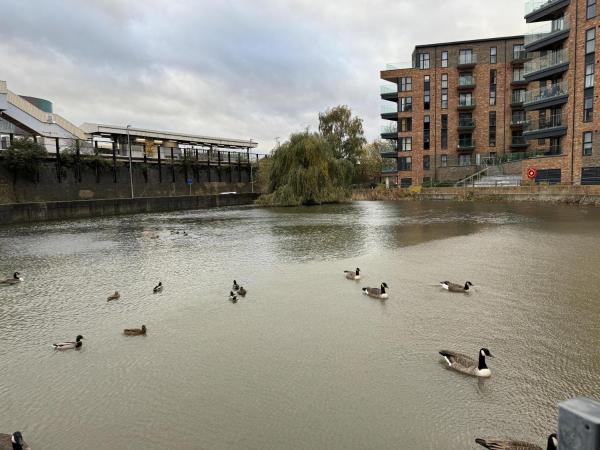 Luxury Apartment In Dartford - Dartford