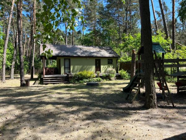 Na zdjęciu widoczny jest obiekt Zaciszny domek w sercu Puszczy Kampinoskiej położony w mieście Przęsławice.