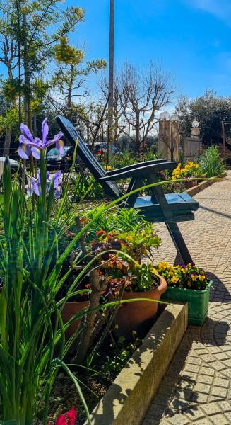 Nella foto è visibile l'oggetto Collelauro4 situato nella città di Camerano.
