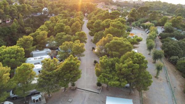 Zdjęcie 8: Camping & Village Rais Gerbi