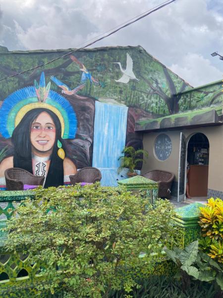 En la foto se muestra el objeto Aldeia Hostel II ubicado en la ciudad de Manaus.