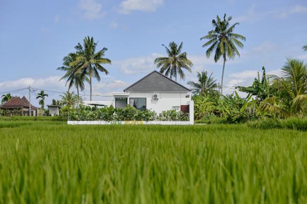 Van Sheva Ubud Villa - Bali