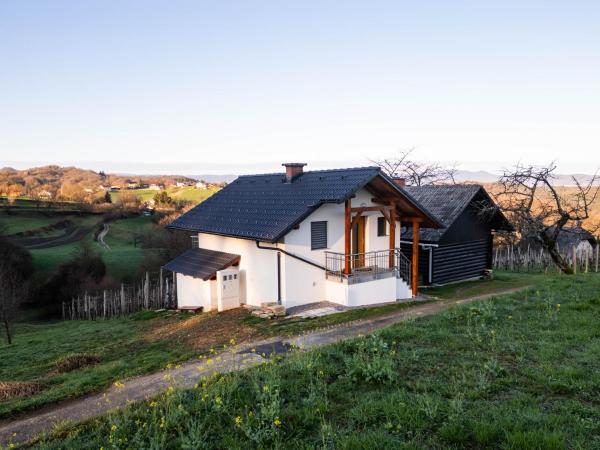 På bildet vises objektet Vineyard cottage Majolka som ligger i byen Velike Brusnice.