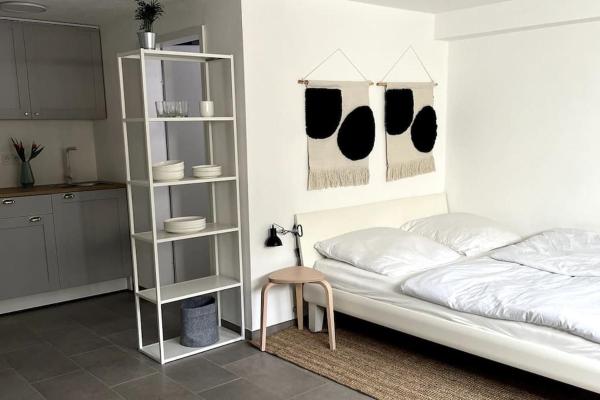 A la foto es mostra l'objecte 1-Zimmer-Apartment am Bodensee situat a la ciutat de Überlingen.
