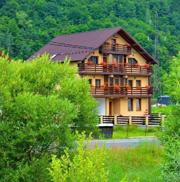 A la foto es mostra l'objecte Casa Vădeanu situat a la ciutat de Berbeşti.