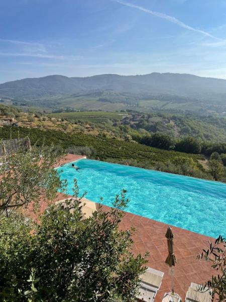 Castello Vicchiomaggio - Greve in Chianti