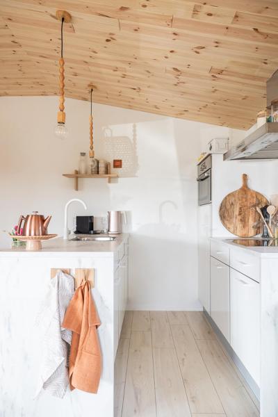 Foto 5: Zweeds vakantiehuis Leva midden in Drents-Friese Wold