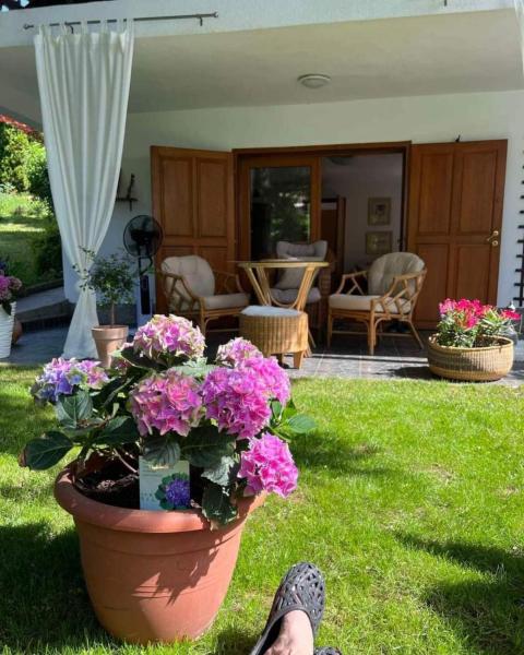 Nella foto è visibile l'oggetto Garden House situato nella città di Binježevo.