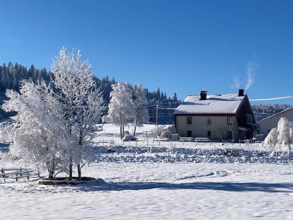 A la foto es mostra l'objecte Gîte les Prés-bois situat a la ciutat de Mouthe.