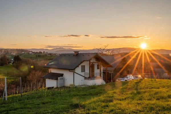 På bildet vises objektet Vineyard Cottage Mayolka - Happy Rentals som ligger i byen Velike Brusnice.