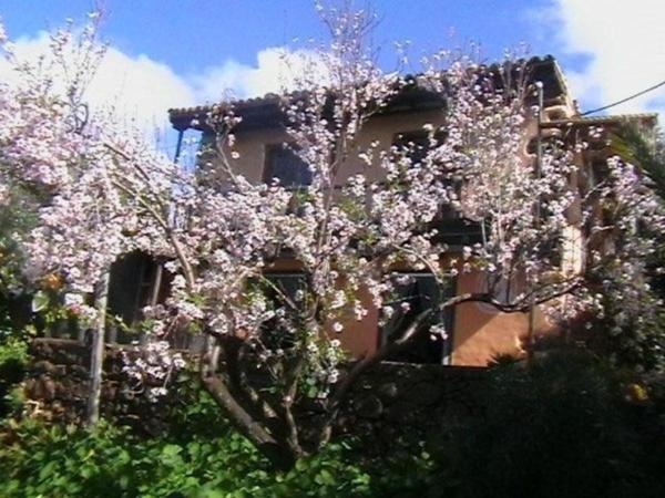 A la foto es mostra l'objecte Bio Finca Los Hondos situat a la ciutat de Garafía.