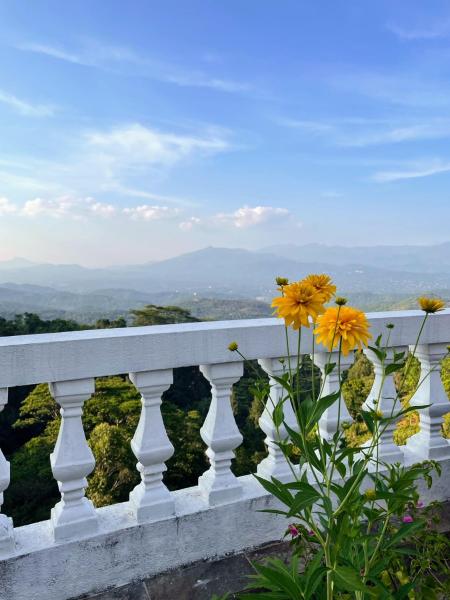 Na fotografii je vidět objekt Bellwood Hills Resort & Spa nacházející se ve městě Kandy.