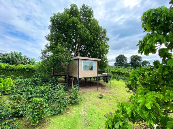 På bildet vises objektet Casa del árbol con jacuzzi privado som ligger i byen Riveralta.