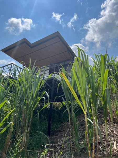 En la foto se muestra el objeto Romantic Glamping for 2 in the Mountain Access with 4x4 or motorbike only ubicado en la ciudad de Villeta.