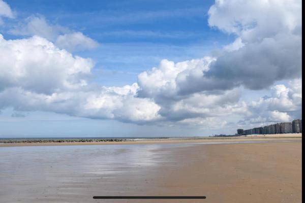 Cintra, Middelkerke