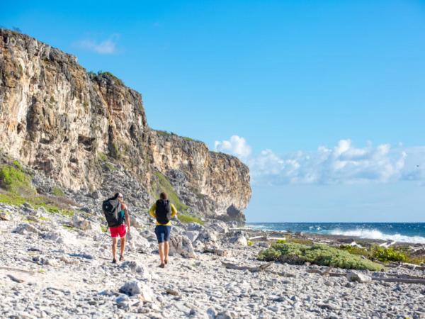 På bilden syns objektet Tulixx Cayman Villa som ligger i staden Molusca Heights.
