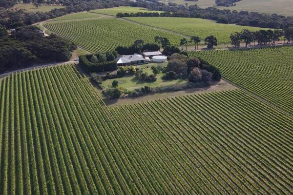 På billedet ses objektet Vineyard Lane - Winery Escape beliggende i byen Balcombe.