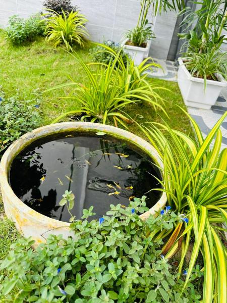 Minh Hiếu - Villa 3 Rooms - Phan Thiet