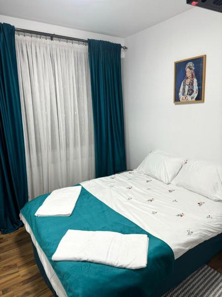 Kuvassa näkyy kohde Apartament Central, Năsăud, joka sijaitsee kaupungissa Rebrişoara.