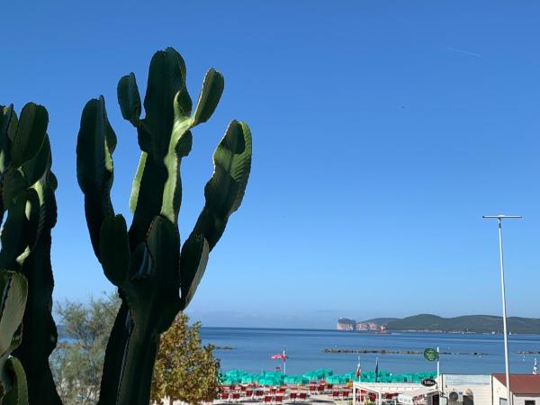 写真にはアルゲーロ市にあるCactus on the beachが写っています。
