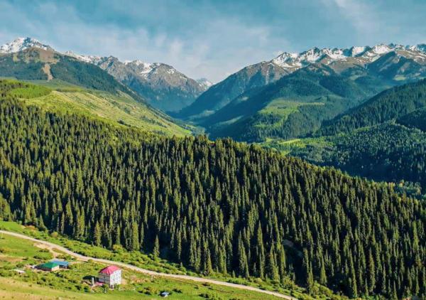 A la foto es mostra l'objecte Горный дом ЛЕС и ГОРЫ Dinarsky situat a la ciutat de Dzhol-Golot.