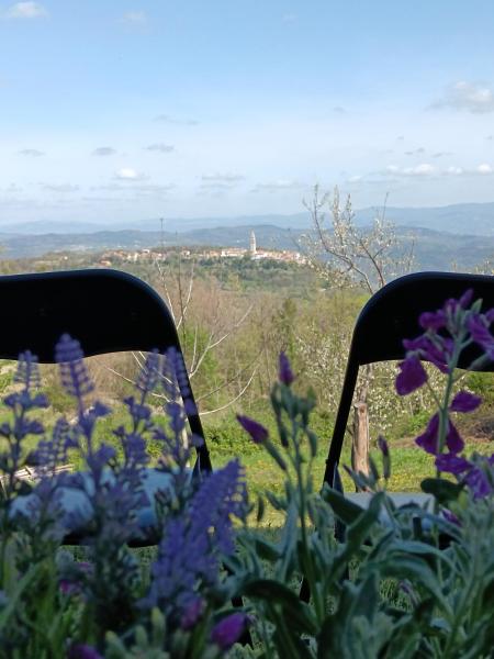 Apartment Toncic - Pazin