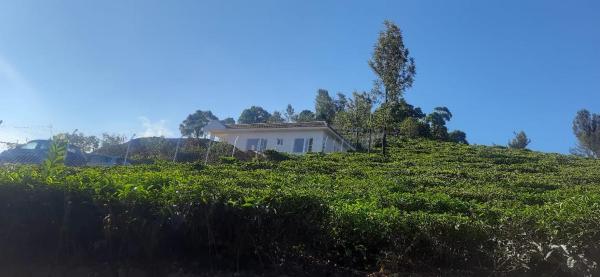 A la foto es mostra l'objecte Wilderness Vila situat a la ciutat de Dimbam.