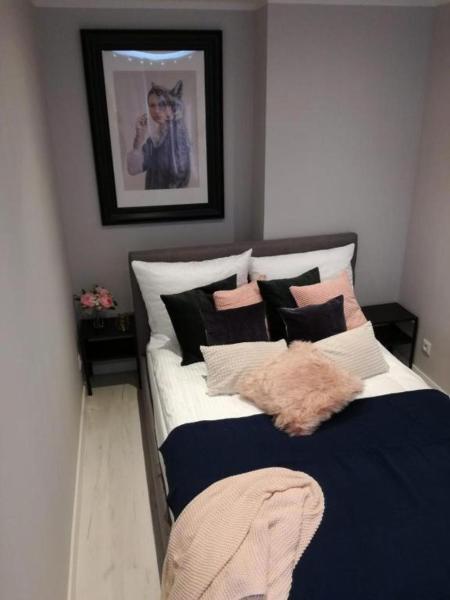 Na zdjęciu widoczny jest obiekt Apartament przy Parku położony w mieście Radom.