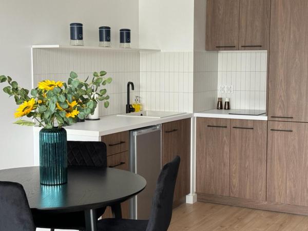 Na zdjęciu widoczny jest obiekt Apartament Przystań 2 położony w mieście Kobysewo.