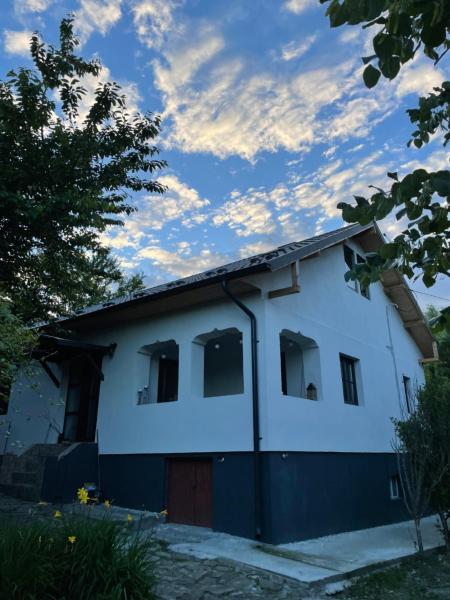 En la foto se muestra el objeto Linden Tree Cottage ubicado en la ciudad de Cărbuneşti.