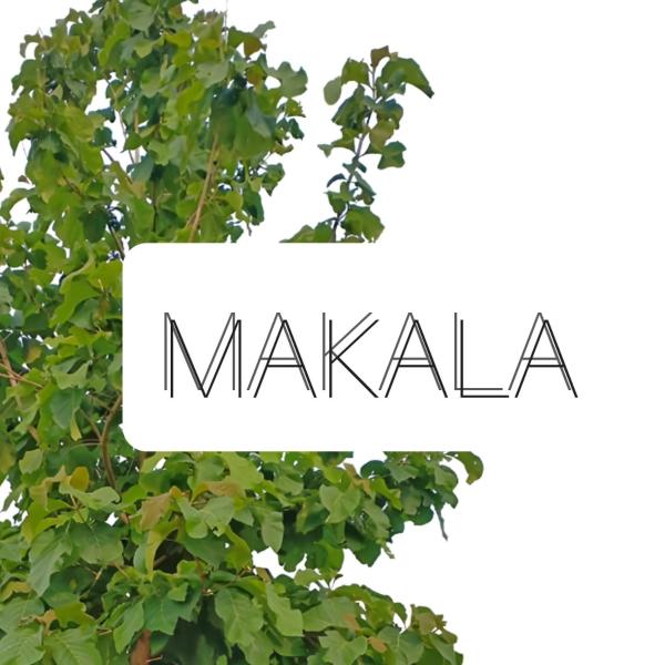 Na zdjęciu widoczny jest obiekt mkdG położony w mieście Cicadas.