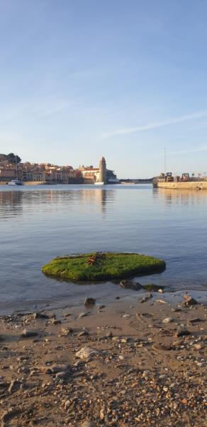 A la foto es mostra l'objecte Studio du pêcheur situat a la ciutat de Cotlliure.