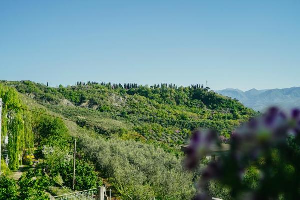 Bujtina Anlu - Albania