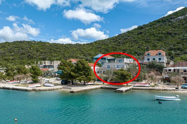 A la foto es mostra l'objecte Apartments by the sea Luka Dubrava, Peljesac - 13632 situat a la ciutat de Putniković.