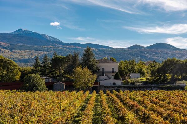 Na zdjęciu widoczny jest obiekt Camporè Etna Wines and Resort położony w mieście Randazzo.