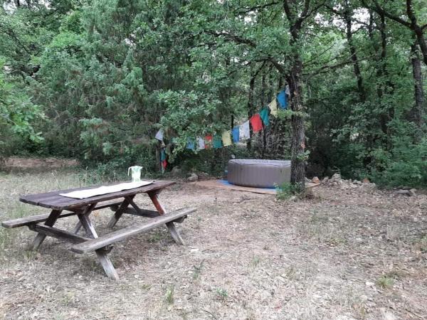 Zdjęcie 7: Tipizen