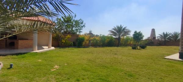 Foto 1: ٦اكتوبر